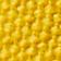 Lemon Chrome