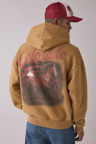 Colorado Range Graphic Zip-Up Hoodie Sweatshirt | Urban Outfitters