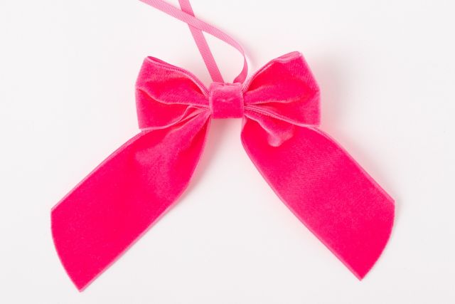 No Reservations Velvet Napkin Bow #1