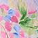 Watercolor Floral