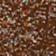Brown Shimmer