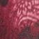 Hibiscus Paisley