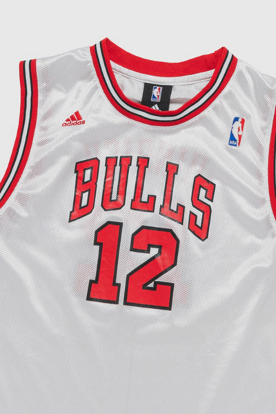 Vintage Chicago Bulls Basketball Jersey