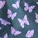 Butterlies