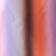 Gradient Stripe Poppy