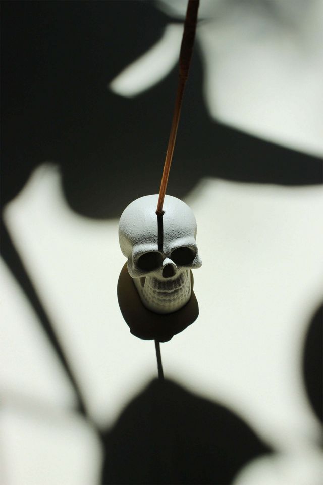 Acquired Taste Skull Incense Stick Holder #4