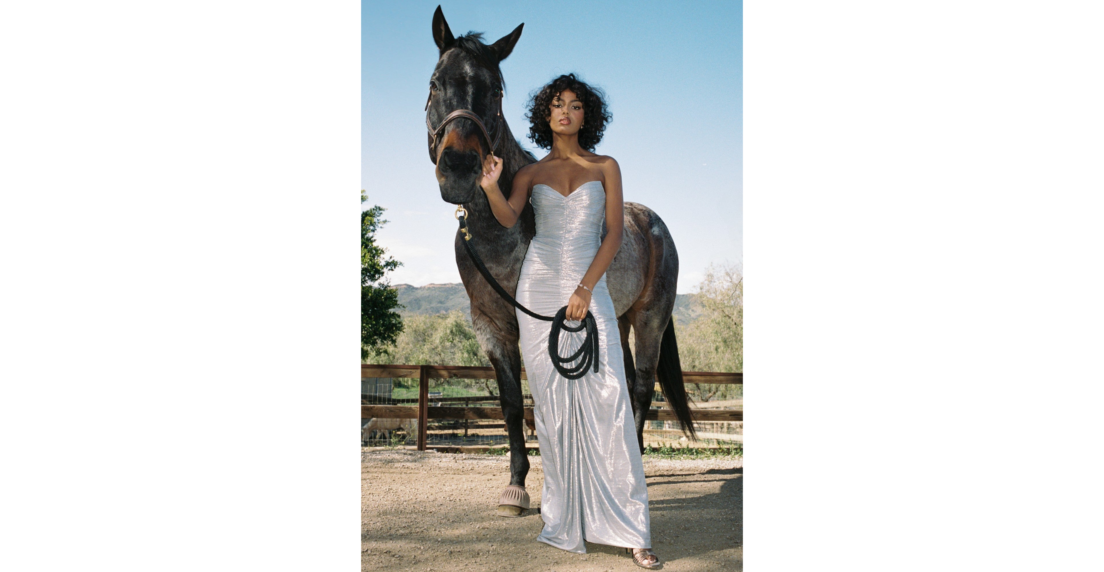 Miss Circle Sable Sweetheart Glitter Mermaid Maxi Dress