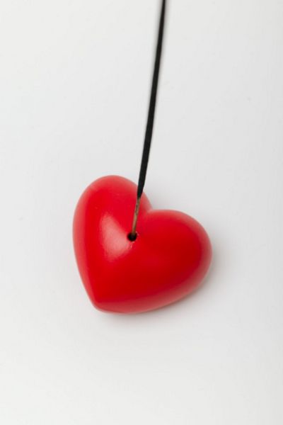 Acquired Taste Wild Heart Incense Stick Holder