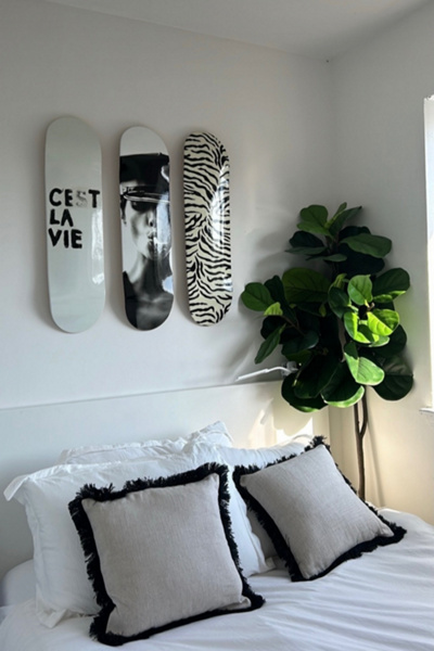 Manic Cherry Zebra Skateboard Wall Art