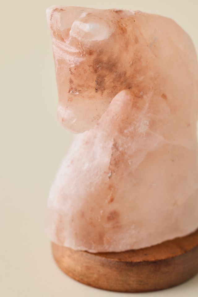 Mini USB Horse Himalayan Salt Lamp #2