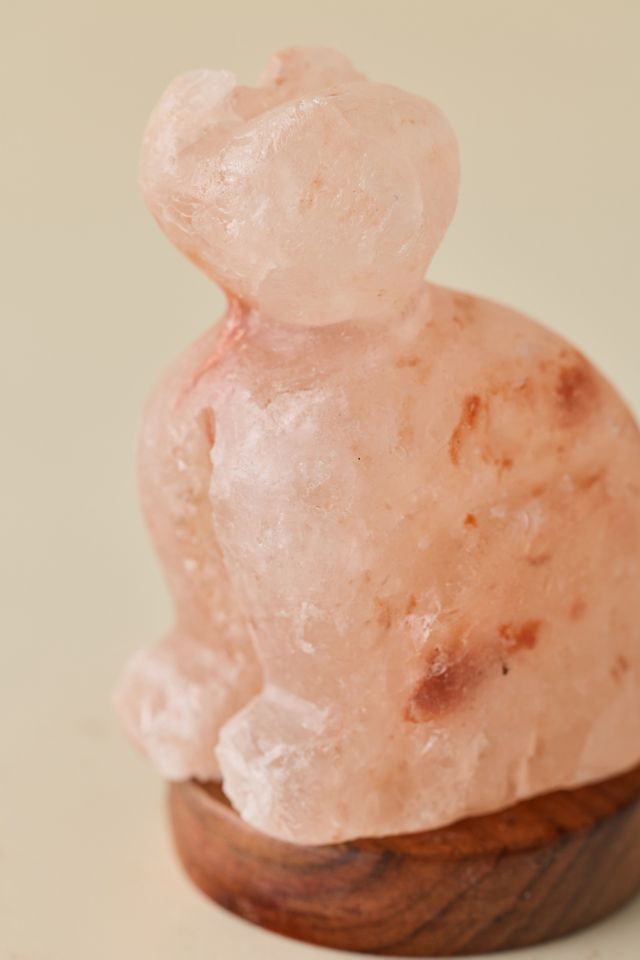 Mini USB Cat Himalayan Salt Lamp #2