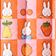 Checkered Fruit Miffy