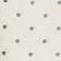 White Spots