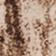 Realtree Camo