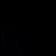 Noir Nocturnal