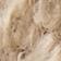 Plaza Taupe / Black