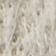 Birch/Birch