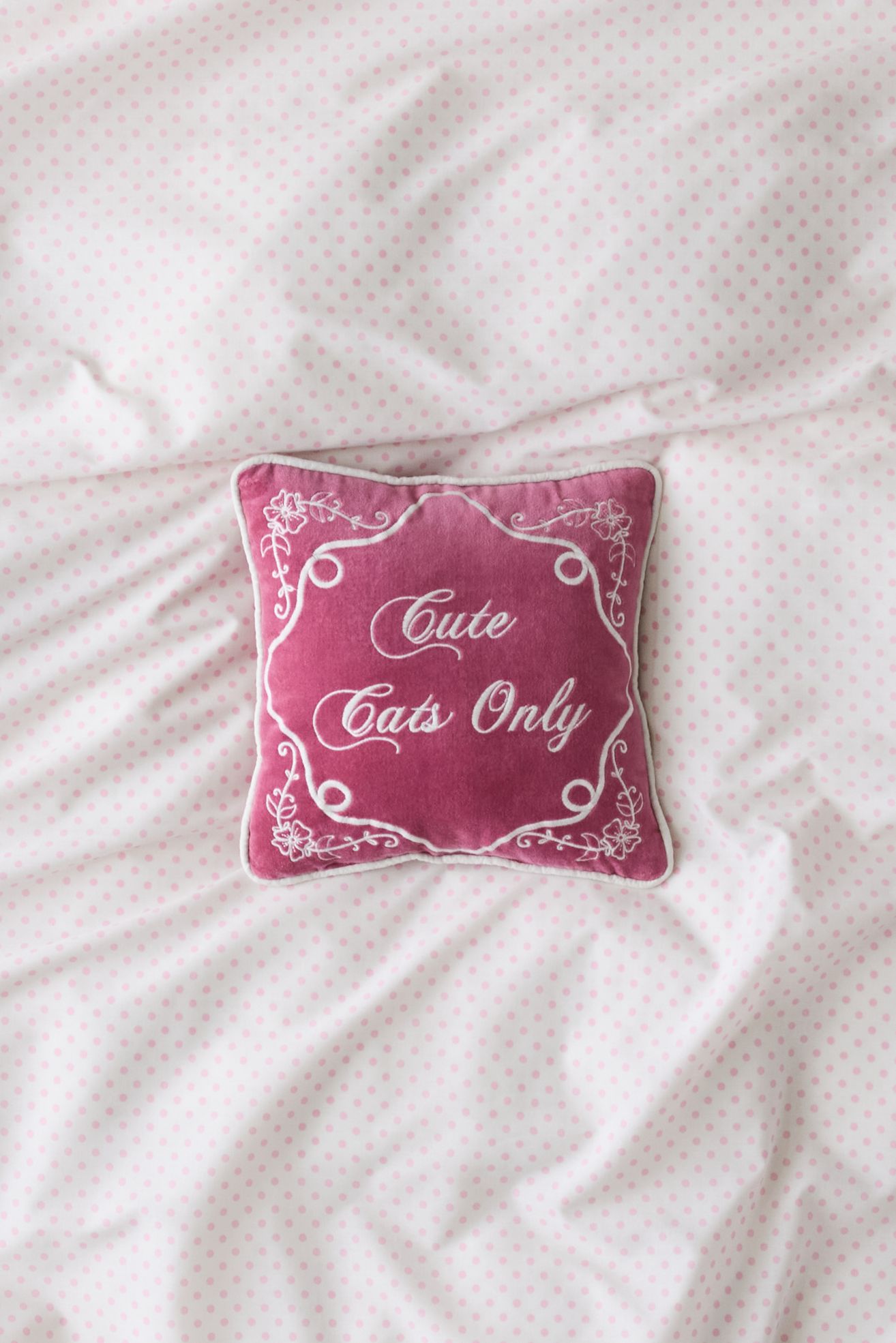 Cute Cats Only Embroidered Velvet Throw Pillow - Mauve/Ivory, 24 X 24