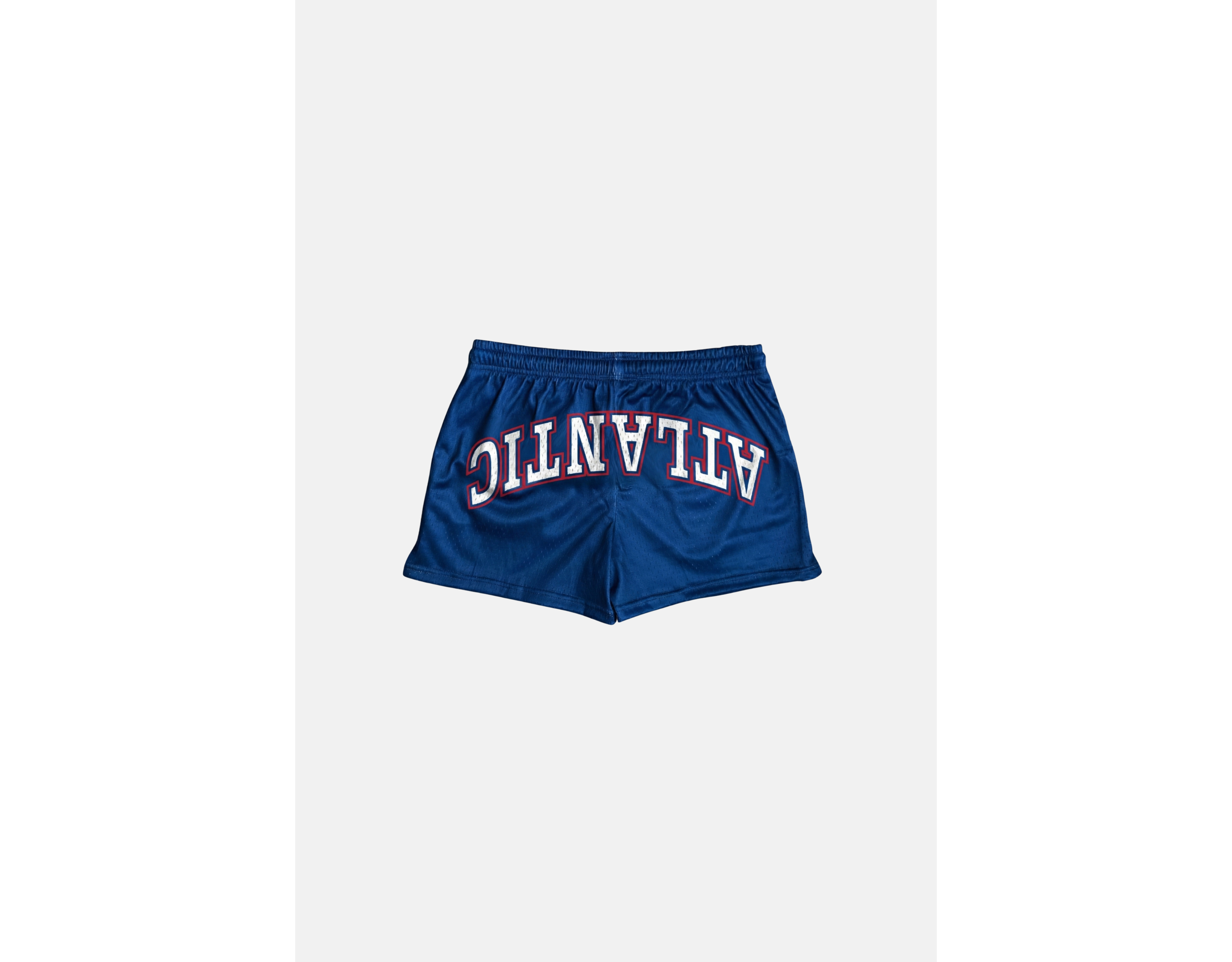 Upside Florida Atlantic University Owls Mini Shorts