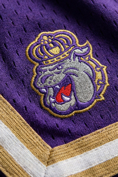 Upside James Madison University Dukes Varsity Mesh Shorts