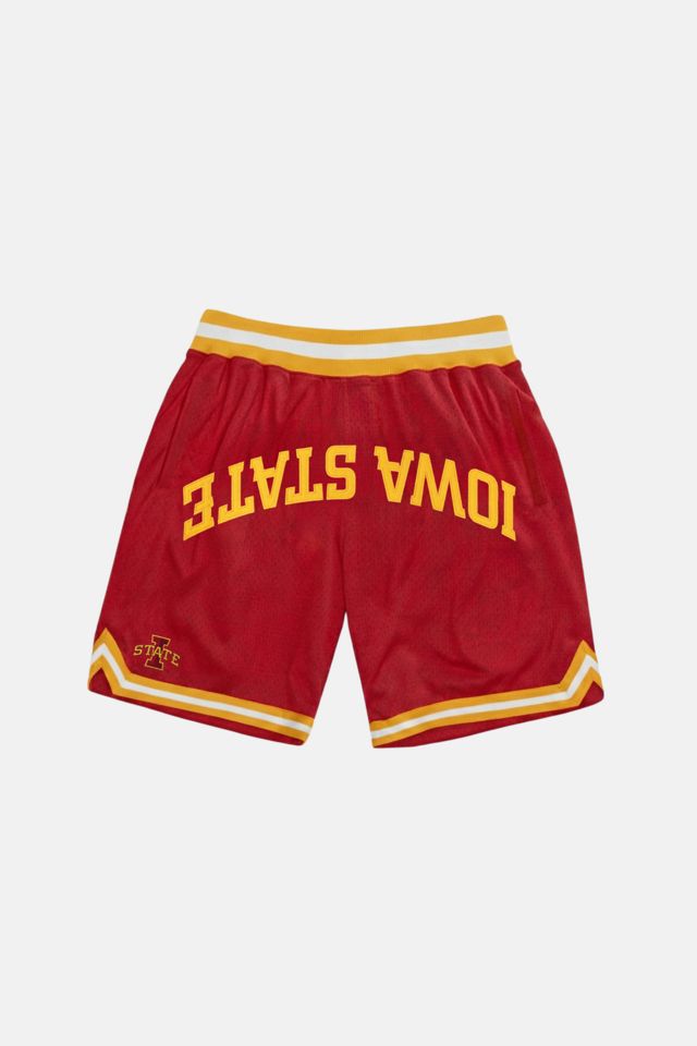 Upside Iowa State Cyclones Varsity Mesh Shorts #2