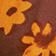 Orange Floral