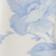 Toile Bleue