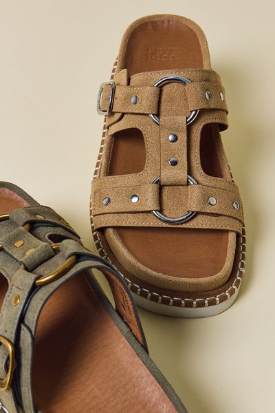 Frye & Co Ramblyn Harness Sandals