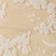 Coconut Milk Petal