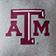 Texas A&M