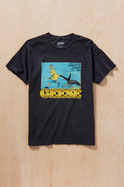 Geese Album Graphic Tee | Urban Outfitters