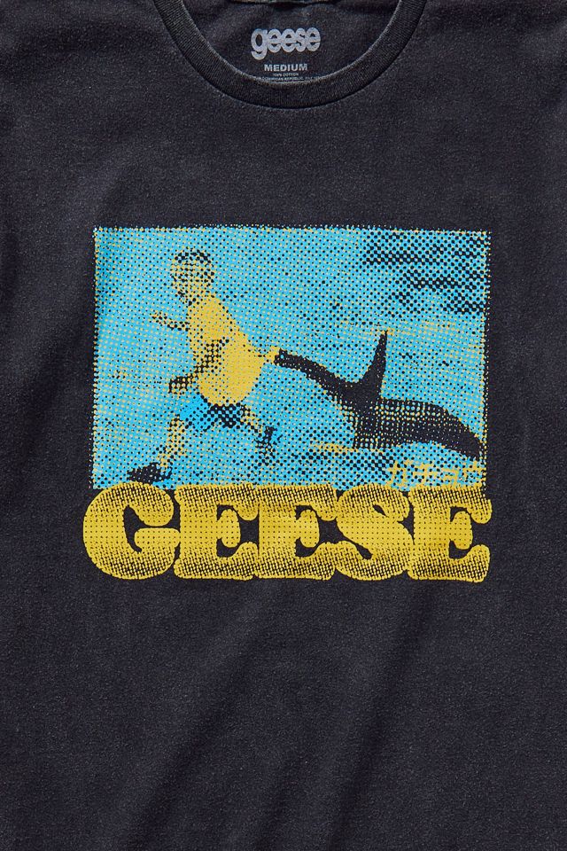 Geese Album Graphic Tee | Urban Outfitters