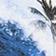 Wave Print