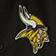 Minnesota Vikings