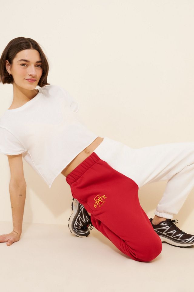 Hype and Vice Iowa State Colorblock Sweatpants #3