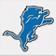 Detroit Lions