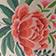 Evelyn Floral