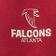 Atlanta Falcons