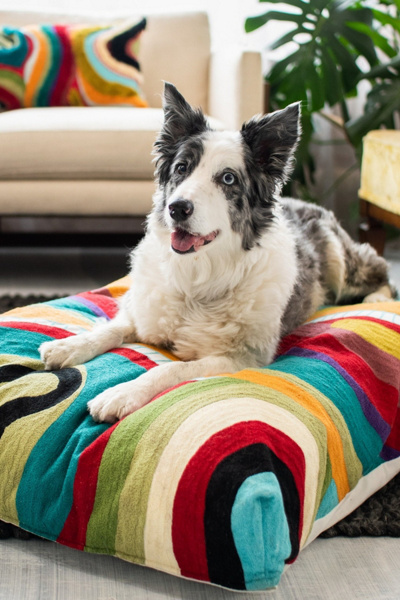 YaYa & Co. Echo Organic Cotton Abstract Dog Bed
