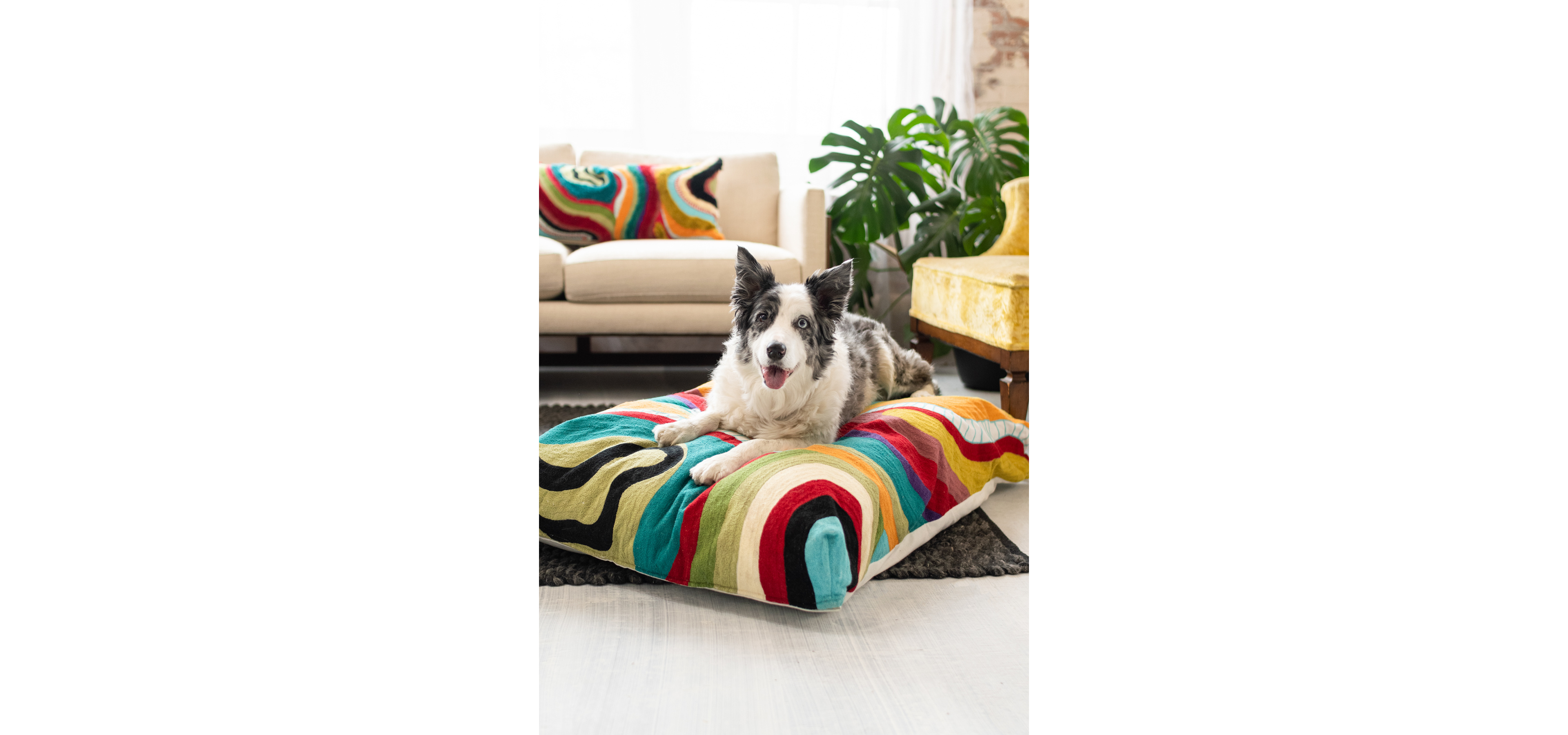 YaYa & Co. Echo Organic Cotton Abstract Dog Bed
