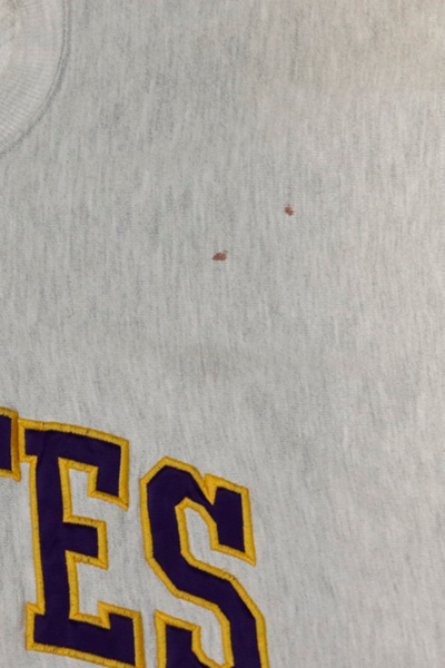 Vintage Champion Reverse Weave 90s Pirates Sweatshirt