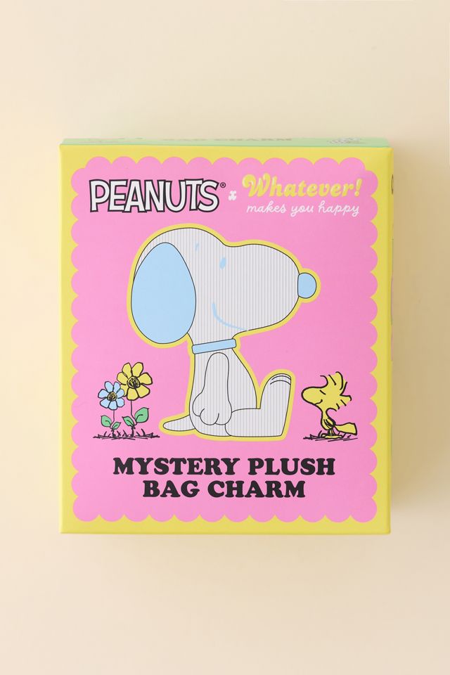 Whatever! Makes You Happy X Peanuts Snoopy Corduroy Blind Box