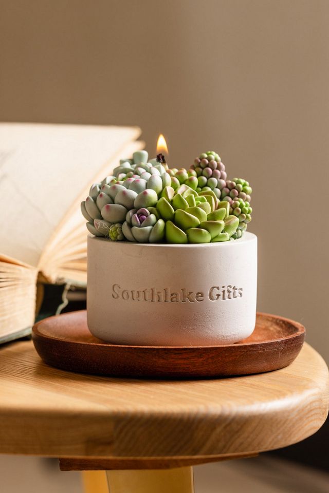 Southlake Gifts Assorted Succulent Candle #1