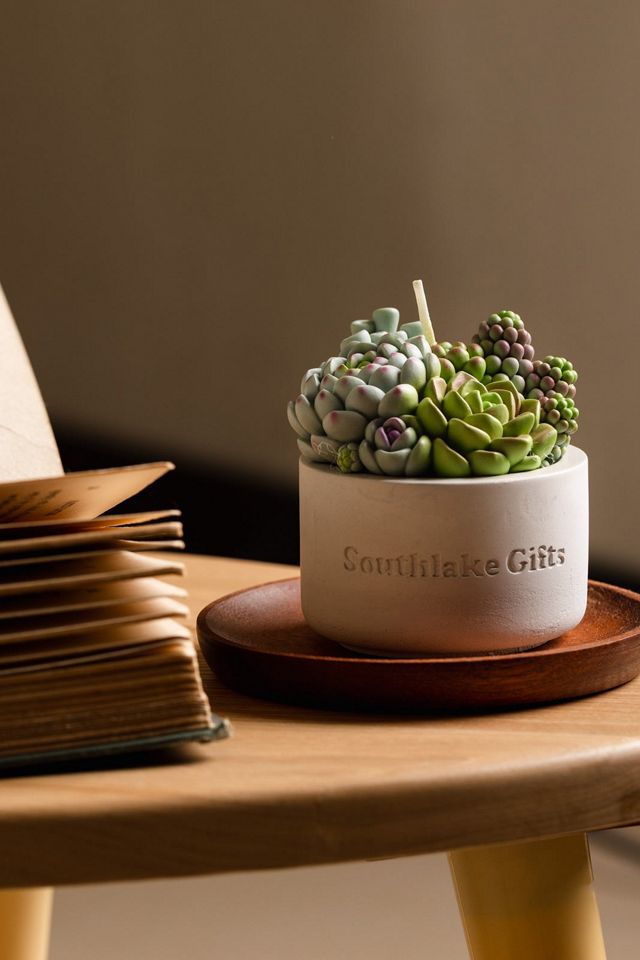 Southlake Gifts Assorted Succulent Candle #2