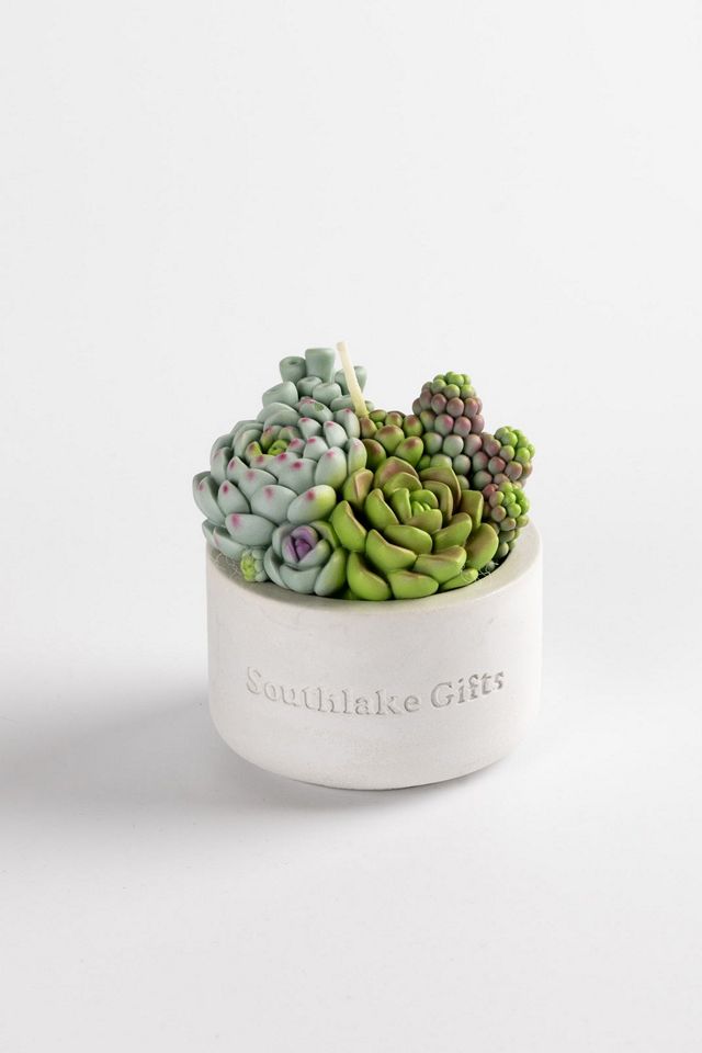 Southlake Gifts Assorted Succulent Candle #3