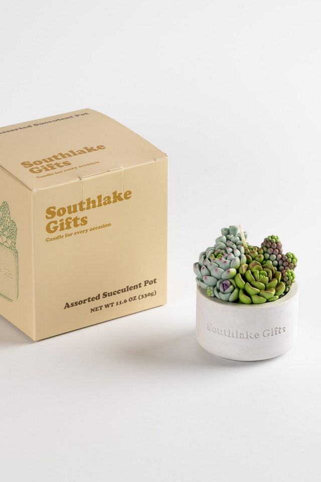 Southlake Gifts Assorted Succulent Candle #4