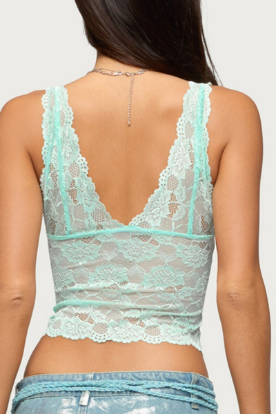 Edikted Vanya Sheer Lace V Neck Top