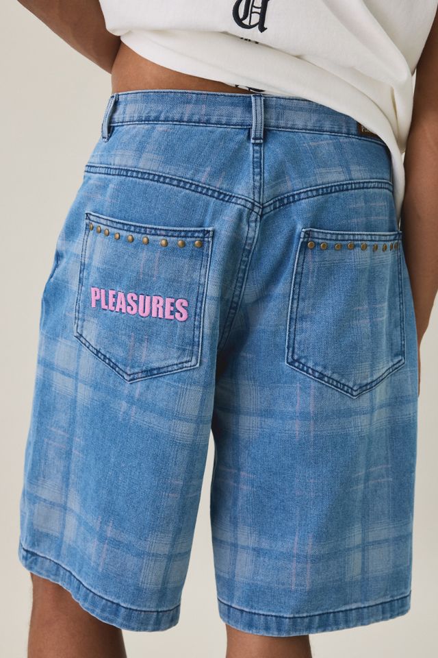 PLEASURES Experiment Jorts #2