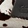 Brown Cow Print