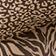 Tiger/Cheetah